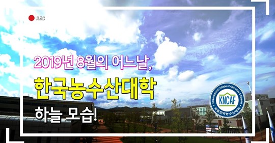 2019년 8월의 어느날, 한국농수산대학 하늘 모습!
