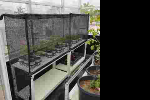 KakaoTalk_20210504_173051301