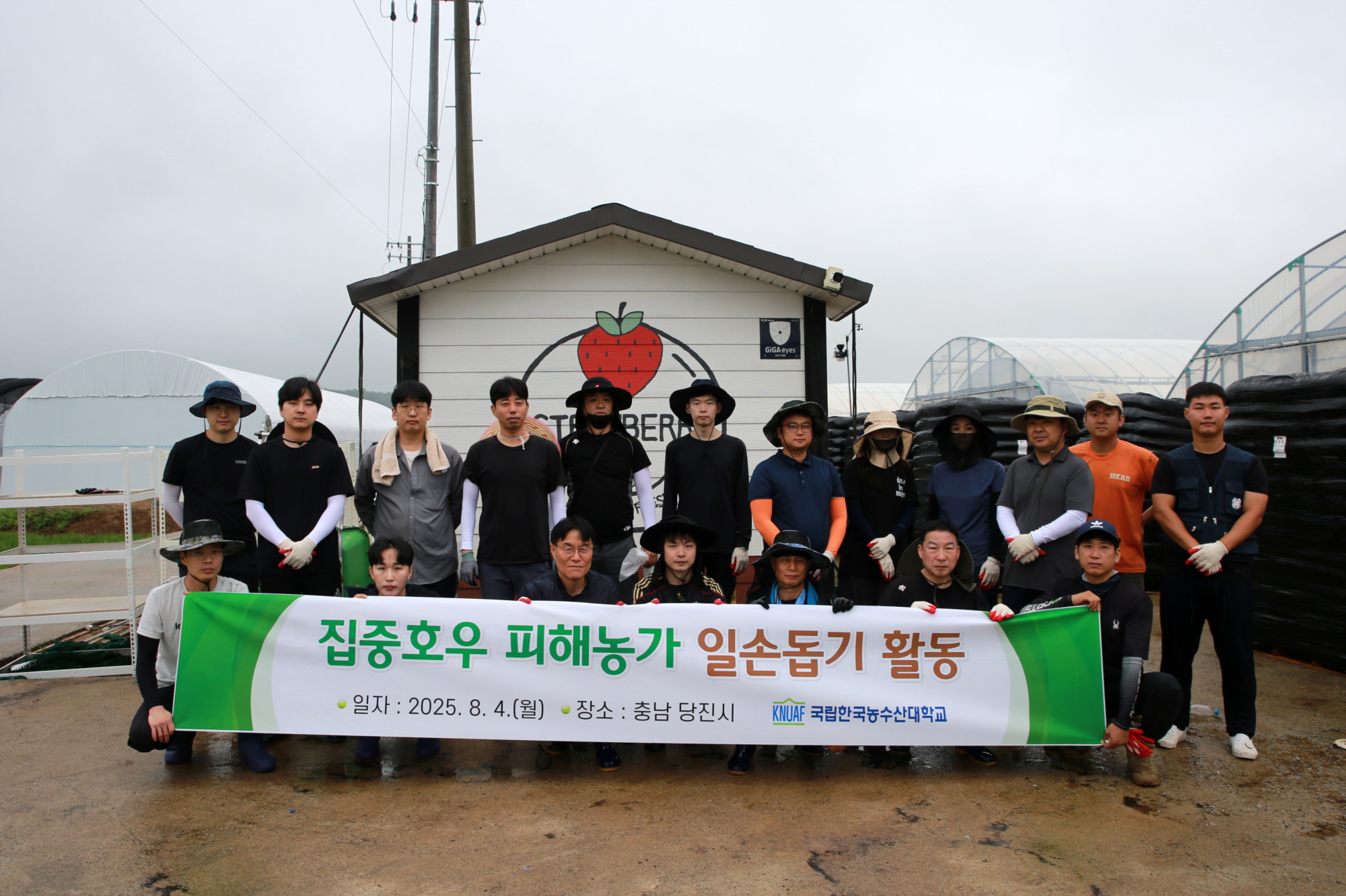 집중호우 피해농가 일손돕기